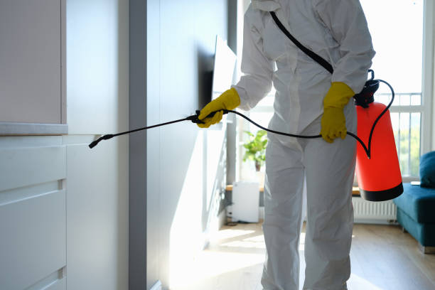 Best Professional Mold Removal  in Merriam, KS