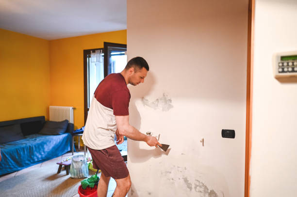 Best Certified Mold Removal  in Merriam, KS