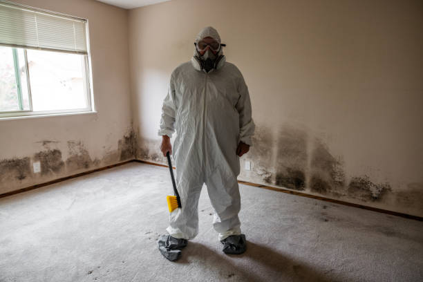 Best Commercial Mold Removal  in Merriam, KS